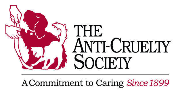 Anti-Cruelty Society