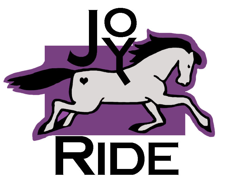 /media/uploads/organization/submitted/JRLogoNoTag_NewPurple.jpg