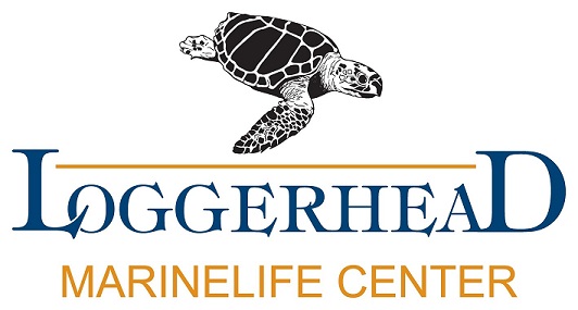 /media/uploads/organization/submitted/Loggerhead_Marinelife_Center___Logo_sM.jpg