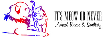 /media/uploads/organization/submitted/Logo_2.jpg