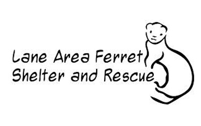 /media/uploads/organization/submitted/ferret.jpg