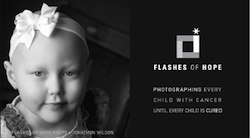 /media/uploads/organization/submitted/flashes_hope_logo.png