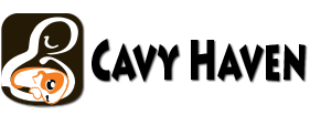 /media/uploads/organization/submitted/occh-logo.png