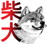 /media/uploads/organization/submitted/shibaken-c_2.jpg